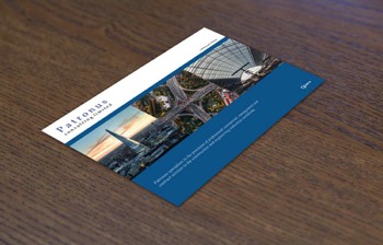  Patronus Consulting - Brochure 